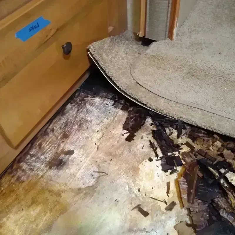 Best Wood Floor Water Damage Service in Henryetta, OK